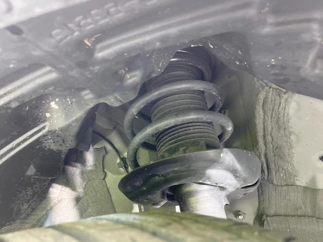24030343_carP_l_20.jpg