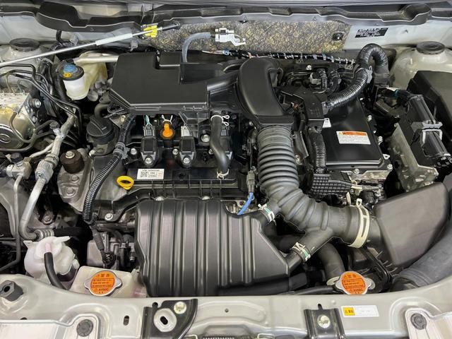 25425919_carP_l_16.jpg