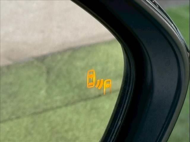 24213650_carP_l_5.jpg