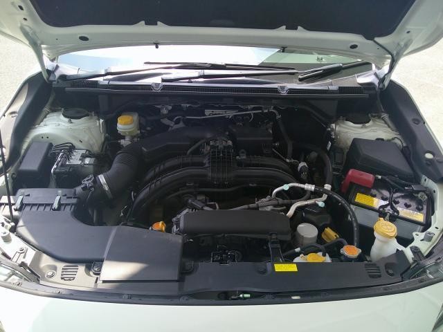 25405386_carP_l_16.jpg