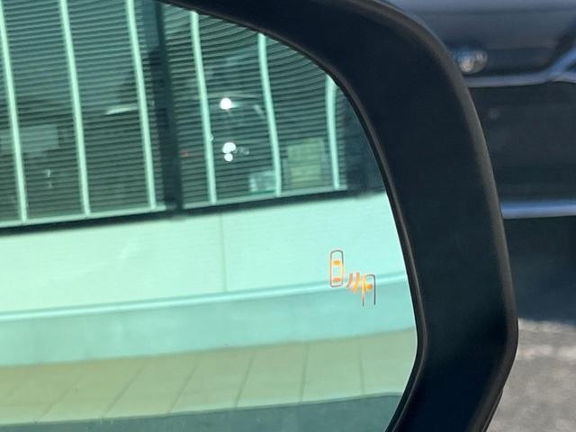 25652583_carP_l_10.jpg
