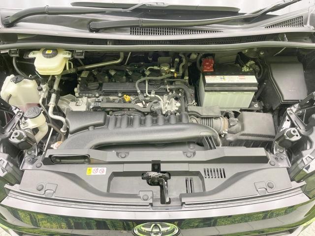 25035816_carP_l_18.jpg