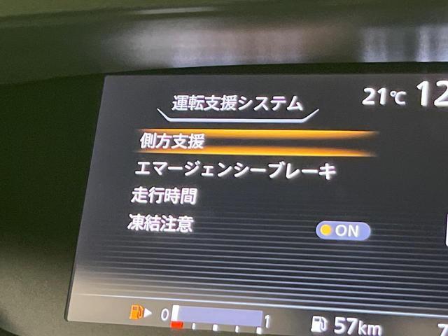 24481430_carP_l_10.jpg