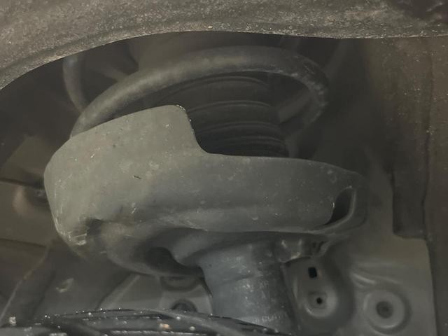 26750954_carP_l_20.jpg