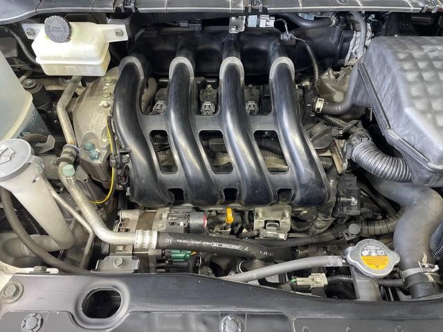 26064194_carP_l_16.jpg