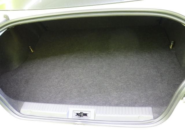 25460640_carP_l_6.jpg