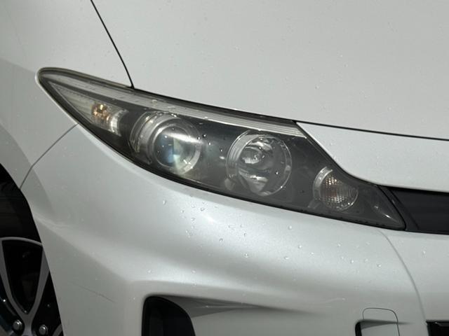 23008327_carP_l_6.jpg