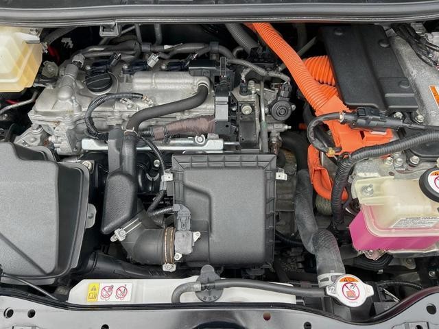 24521016_carP_l_16.jpg