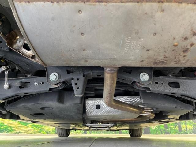 25632987_carP_l_18.jpg