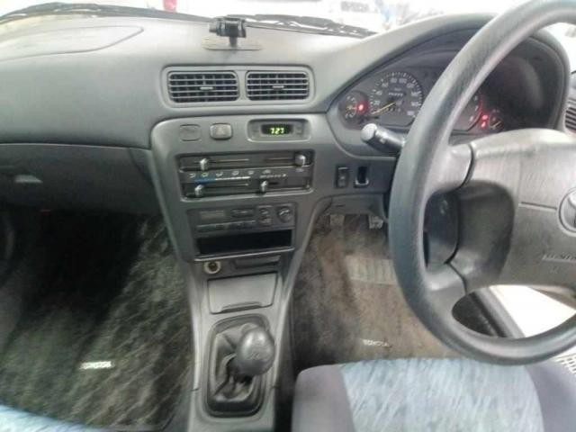 26940030_carP_l_10.jpg