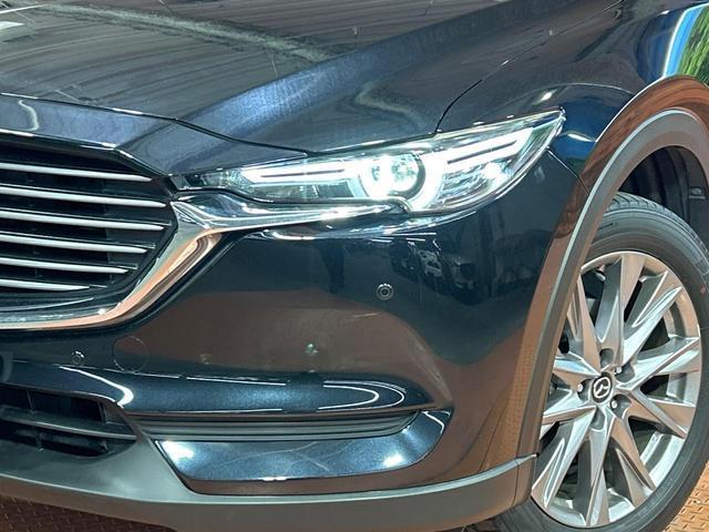 22620918_carP_l_7.jpg