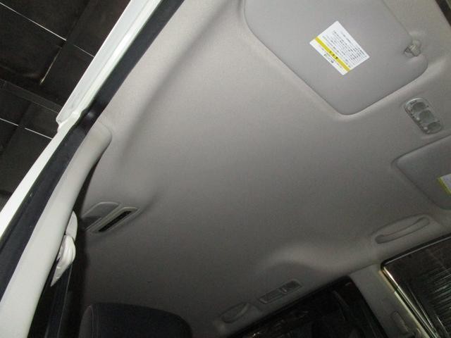 26372770_carP_l_16.jpg