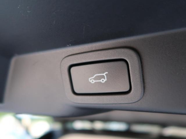 25527342_carP_l_14.jpg