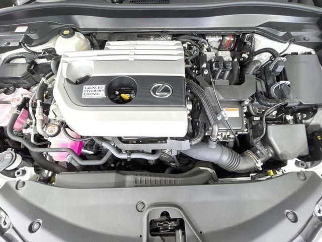25056491_carP_l_16.jpg