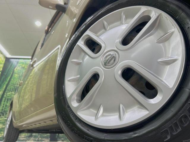 24030738_carP_l_7.jpg