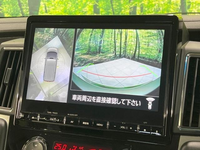 24239457_carP_l_10.jpg