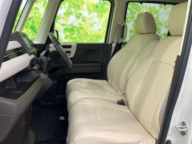24596581_carP_l_13.jpg