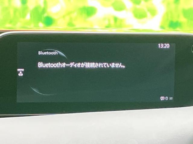 23068220_carP_l_5.jpg