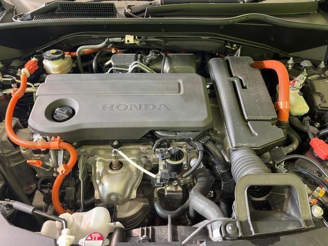 26314193_carP_l_16.jpg