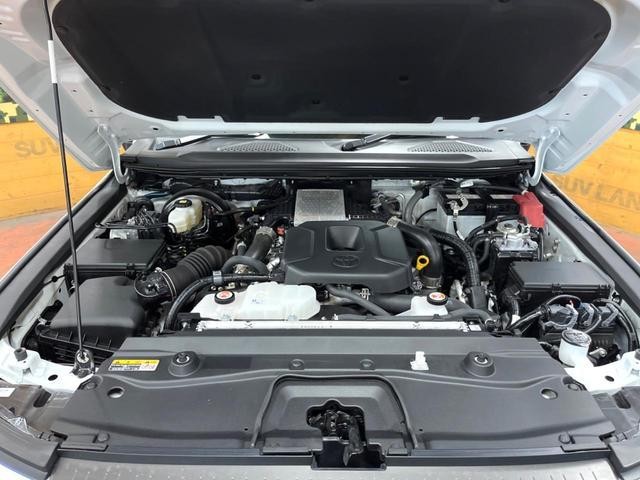 26167901_carP_l_20.jpg