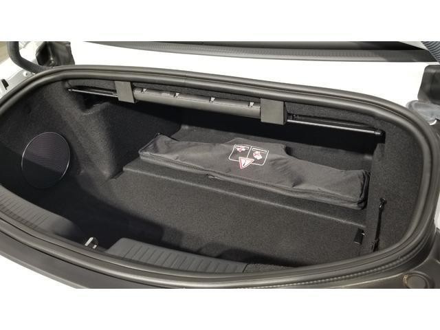 24988683_carP_l_18.jpg