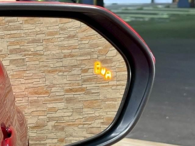 24720569_carP_l_17.jpg