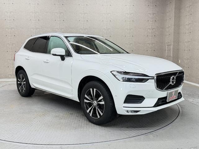 25419815_carP_l_17.jpg