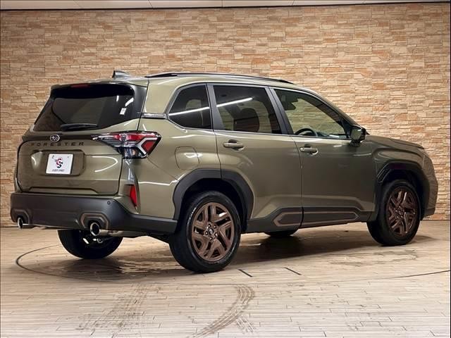 24720571_carP_l_11.jpg