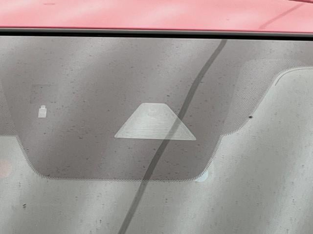 19040417_carP_l_10.jpg