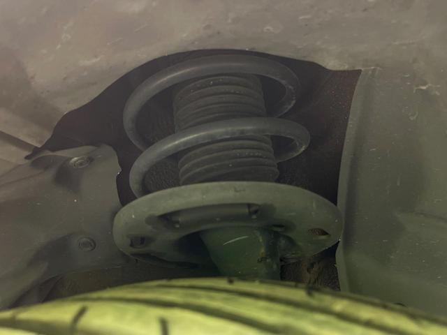 19040417_carP_l_20.jpg