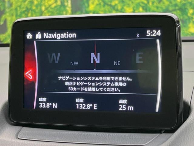 19040417_carP_l_4.jpg