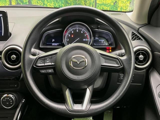 19040417_carP_l_5.jpg