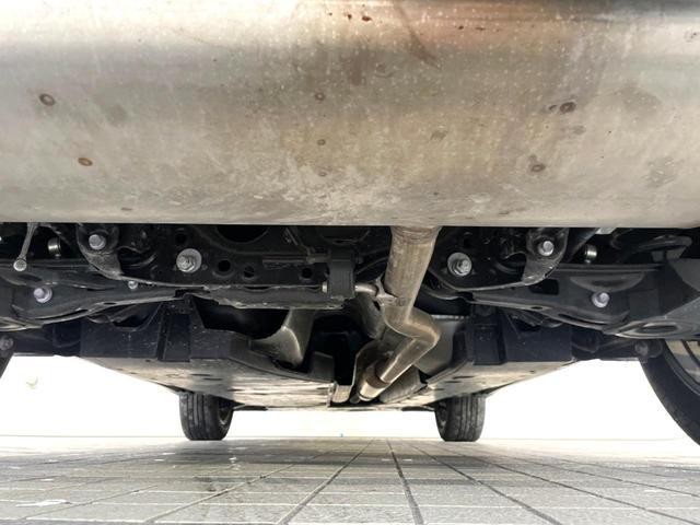 24829041_carP_l_16.jpg