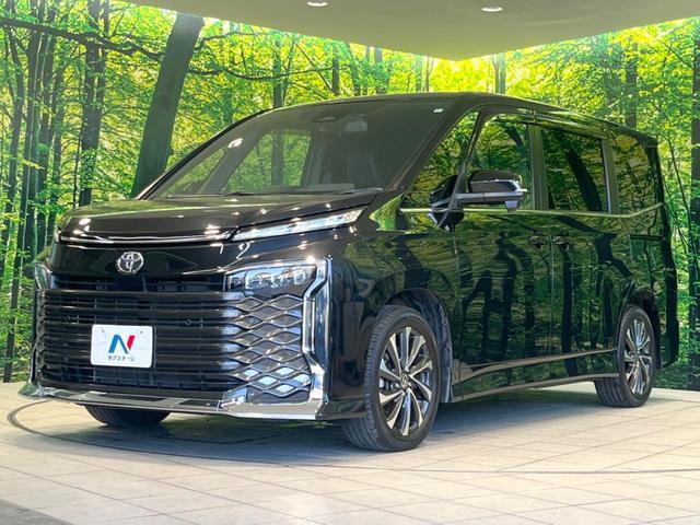 23497617_carP_l_12.jpg