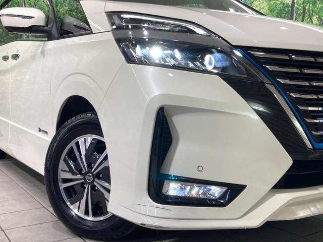 24134033_carP_l_6.jpg