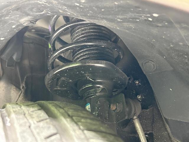 25117850_carP_l_20.jpg