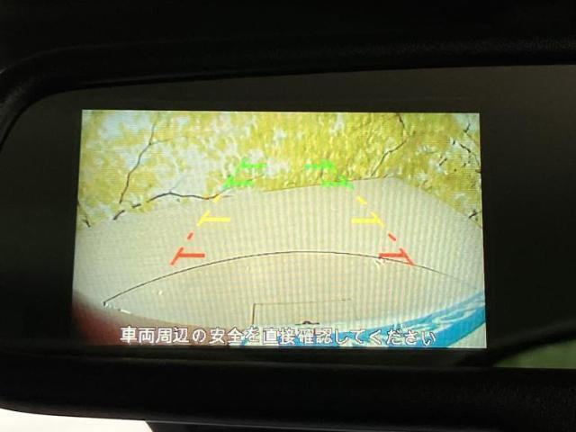 23098789_carP_l_7.jpg