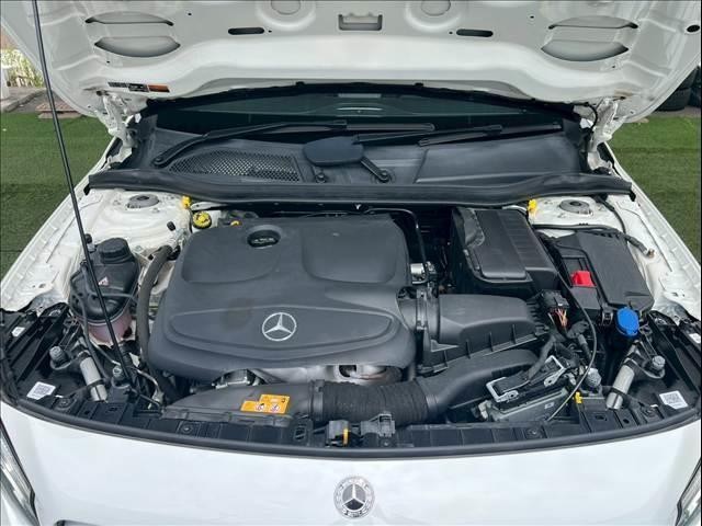 24213654_carP_l_6.jpg