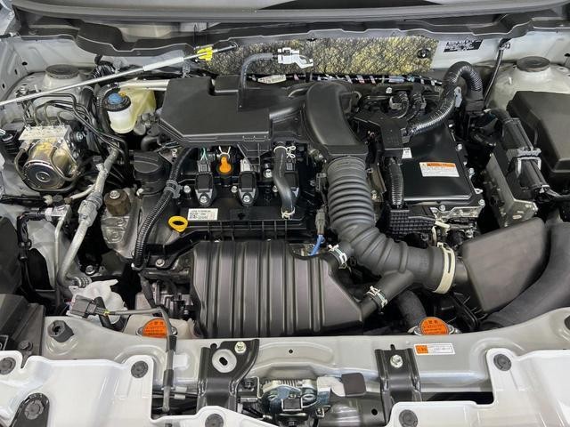 25405266_carP_l_16.jpg
