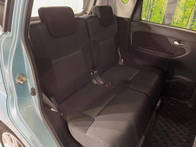 25076130_carP_l_19.jpg