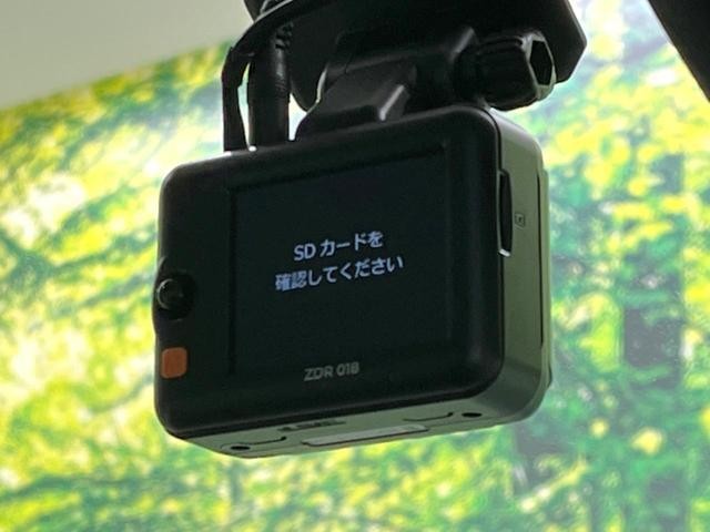 24807651_carP_l_14.jpg