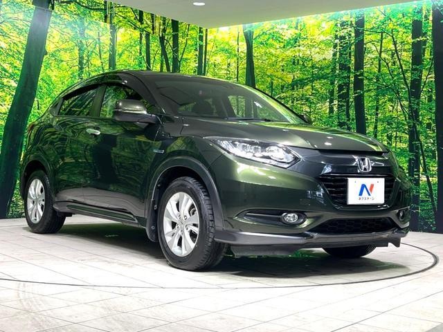 26084296_carP_l_12.jpg