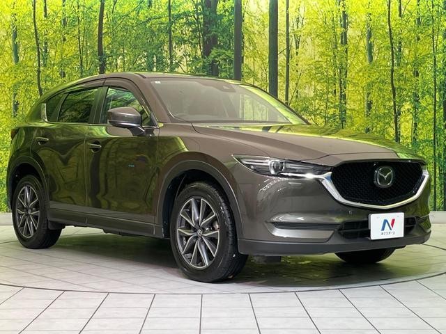 26314408_carP_l_11.jpg