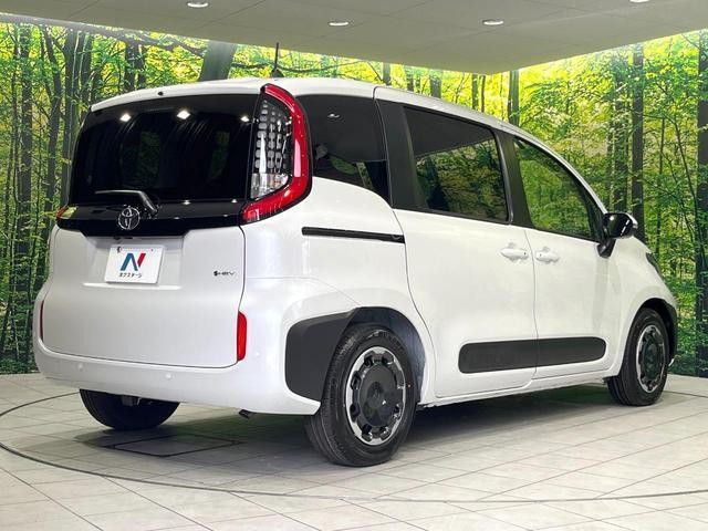 24994837_carP_l_16.jpg