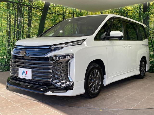 24260454_carP_l_12.jpg