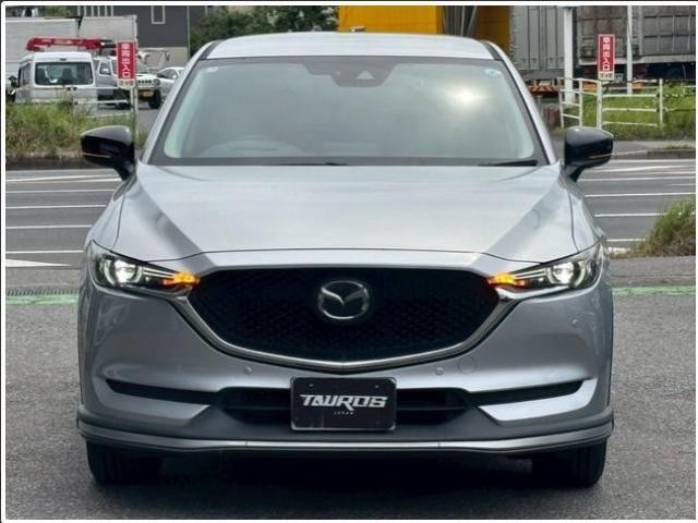 26601440_carP_l_2.jpg