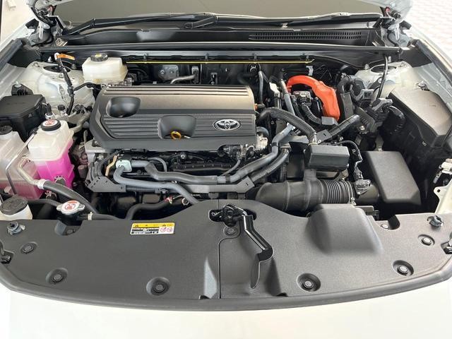 26168008_carP_l_12.jpg