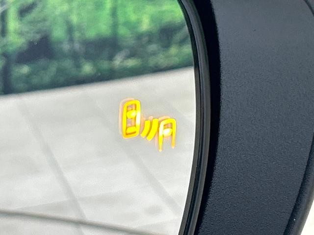 26751555_carP_l_10.jpg