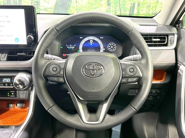 25076238_carP_l_5.jpg