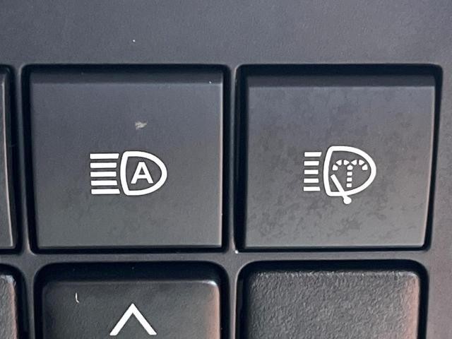 24541504_carP_l_17.jpg